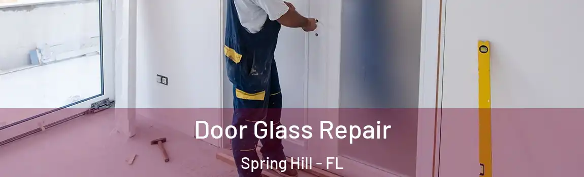 Door Glass Repair Spring Hill - FL