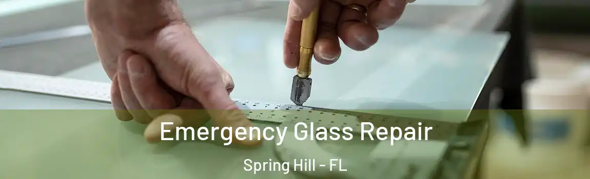 Emergency Glass Repair Spring Hill - FL