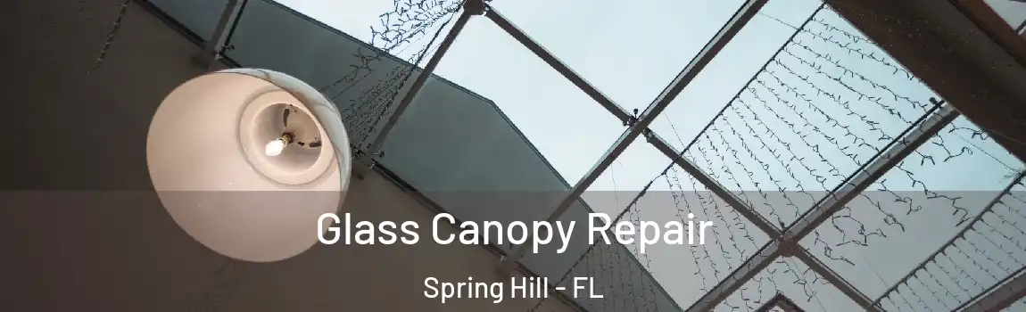 Glass Canopy Repair Spring Hill - FL