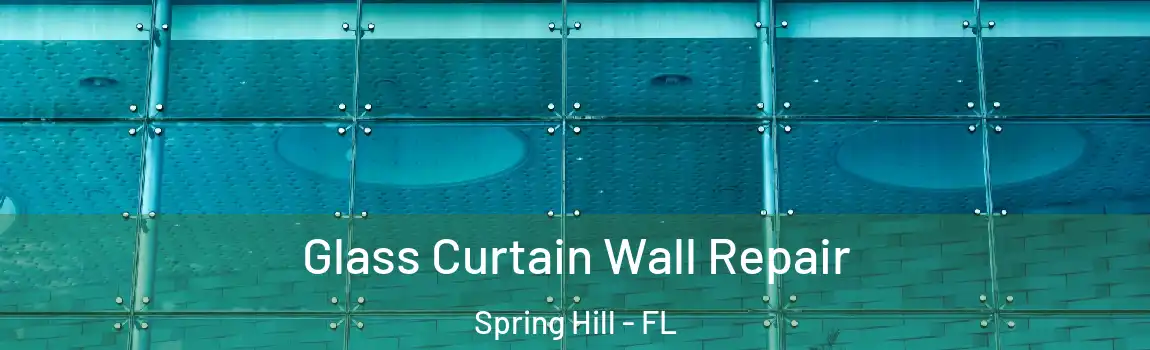 Glass Curtain Wall Repair Spring Hill - FL