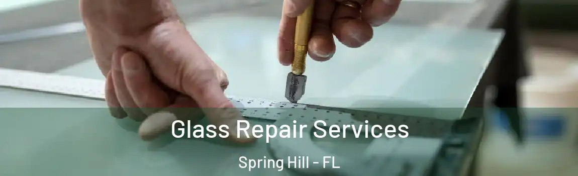 Glass Repair Services Spring Hill - FL