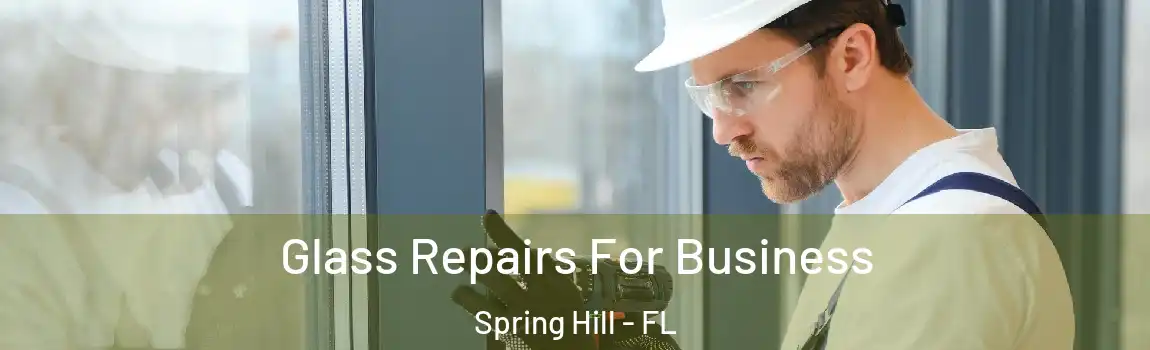 Glass Repairs For Business Spring Hill - FL