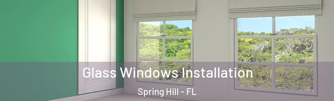 Glass Windows Installation Spring Hill - FL