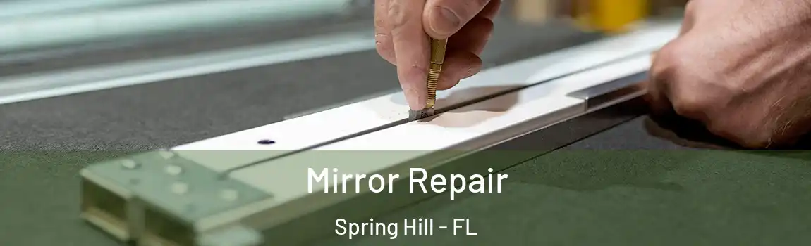 Mirror Repair Spring Hill - FL