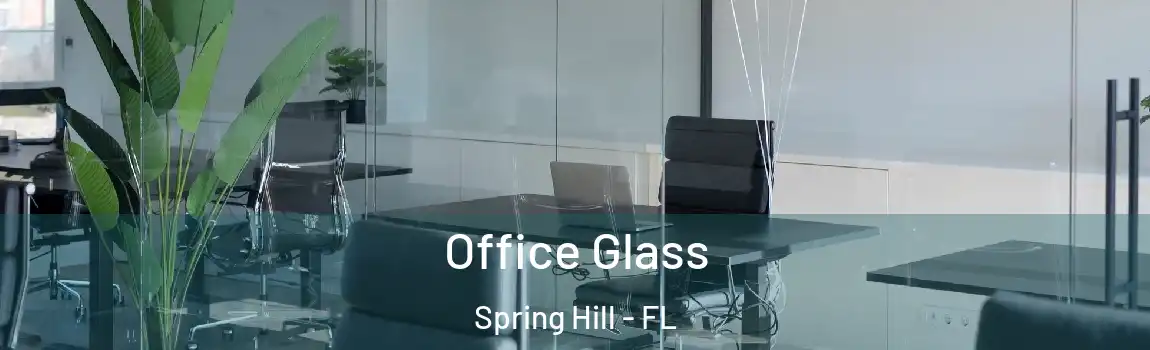 Office Glass Spring Hill - FL