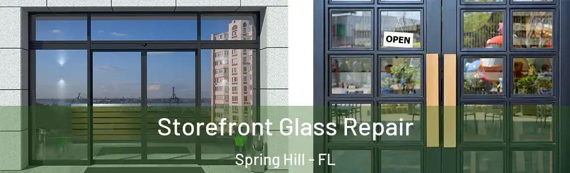 Storefront Glass Repair Spring Hill - FL