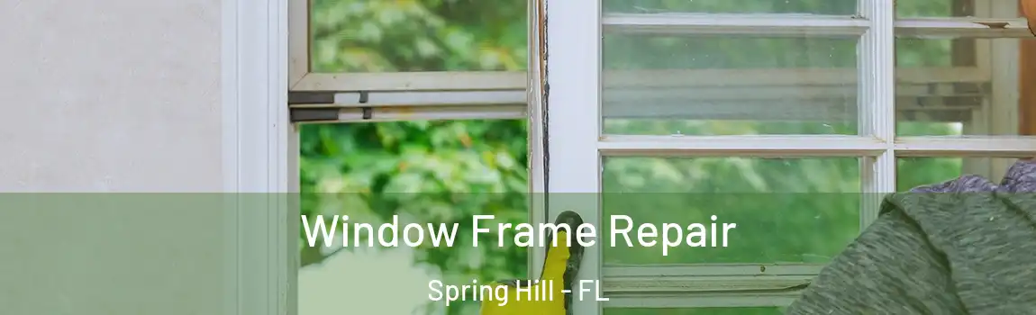 Window Frame Repair Spring Hill - FL
