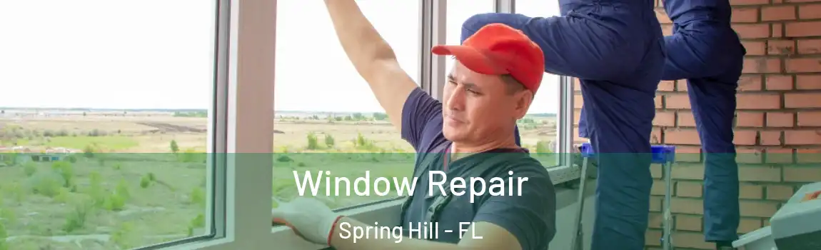 Window Repair Spring Hill - FL