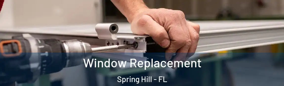 Window Replacement Spring Hill - FL